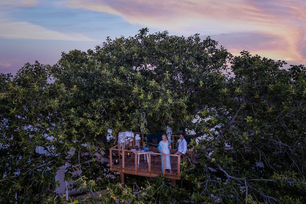 Four Seasons Maldives at Landaa Giraavaru - View 24