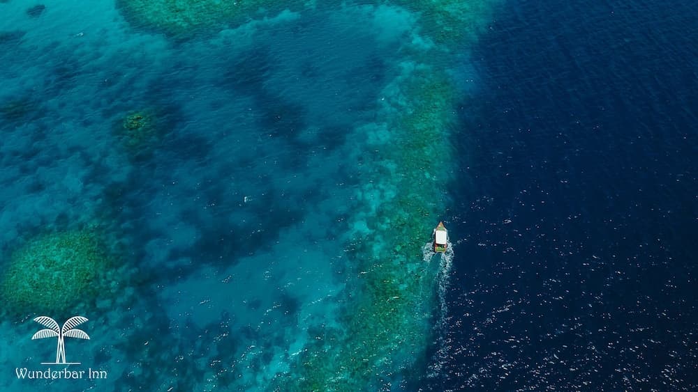 Wunderbar Inn - View 9