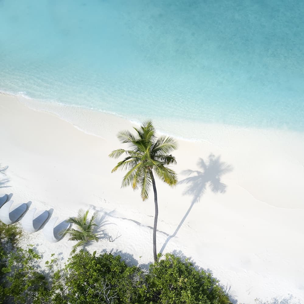 JA Manafaru, The Real Maldives - Complimentary Seaplane for 7 nights and more - Stay Period 01 May 2026 to 23 Dec 2026 - View 150