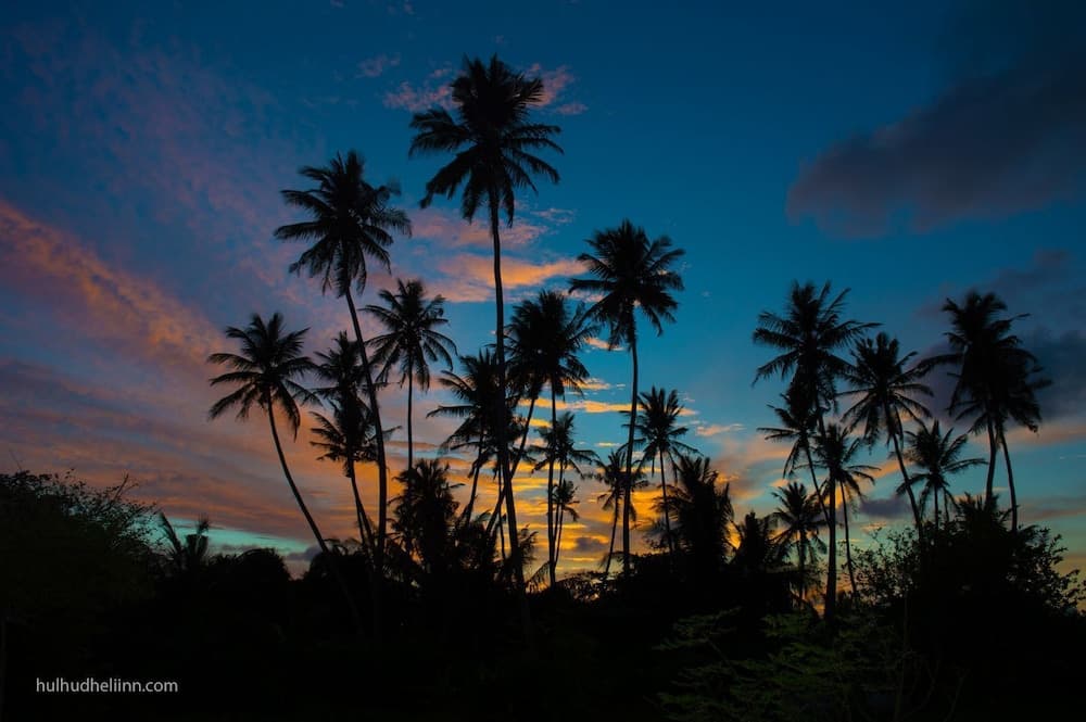 Hulhudheli Inn - View 96