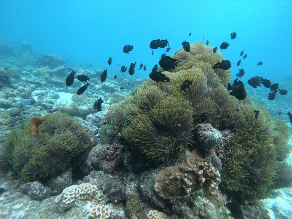 Three Hearts Guesthouse - View 61