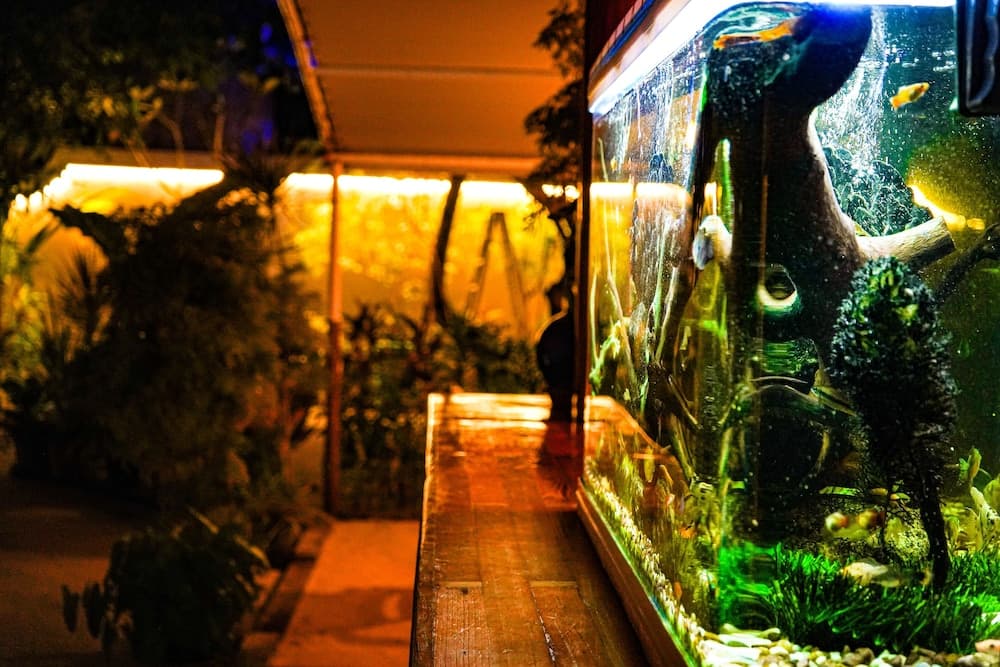 Banyan Villa Maldives - View 10