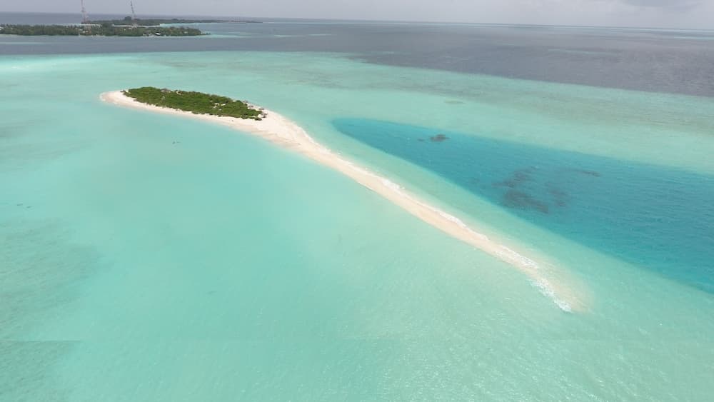 Palm Residence - View 55