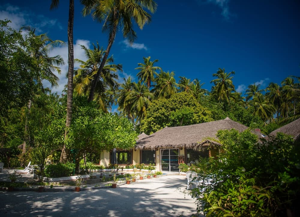 Biyadhoo Island Resort - View 69