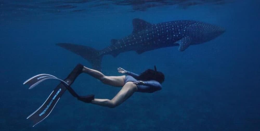 White Sand Dhigurah - View 47