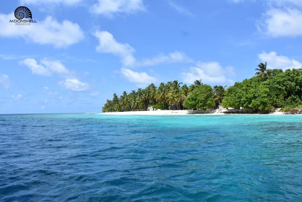 Moonshell Residence - View 5