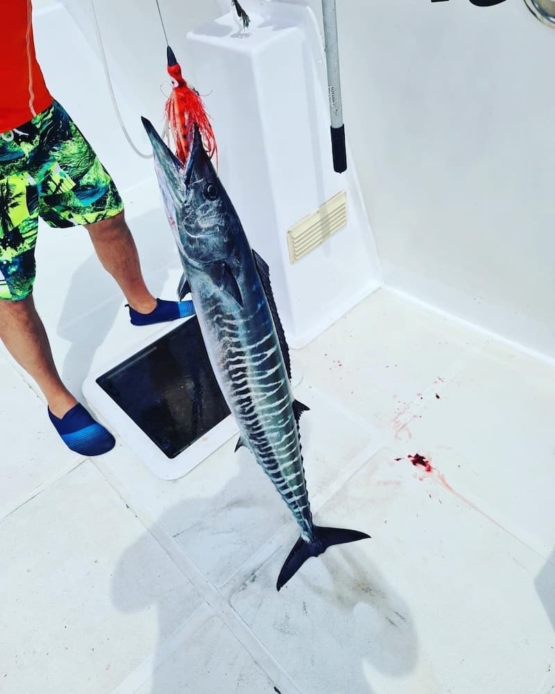 Yacht Fascination Maldives - View 1