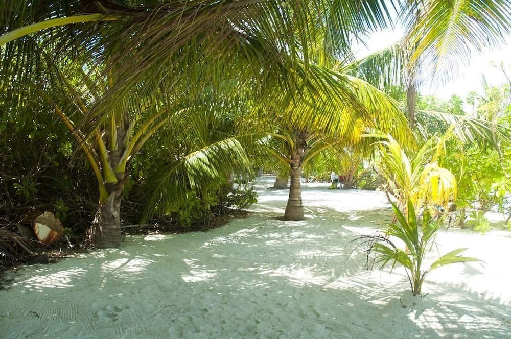 Palm Garden - View 24