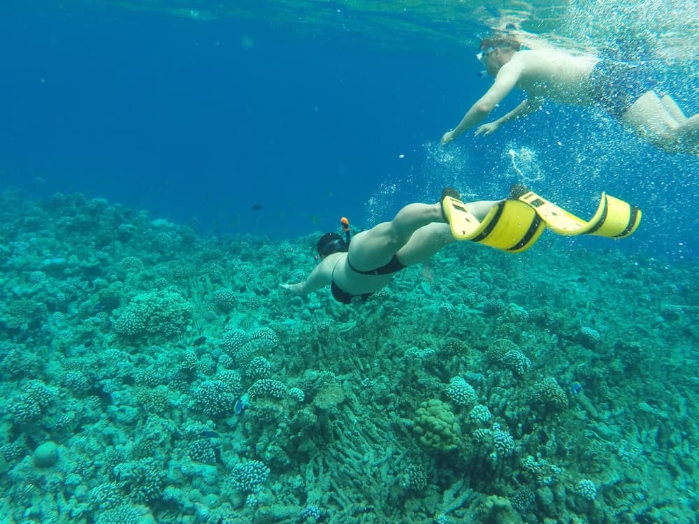 Royal Inn Rasdhoo - View 14