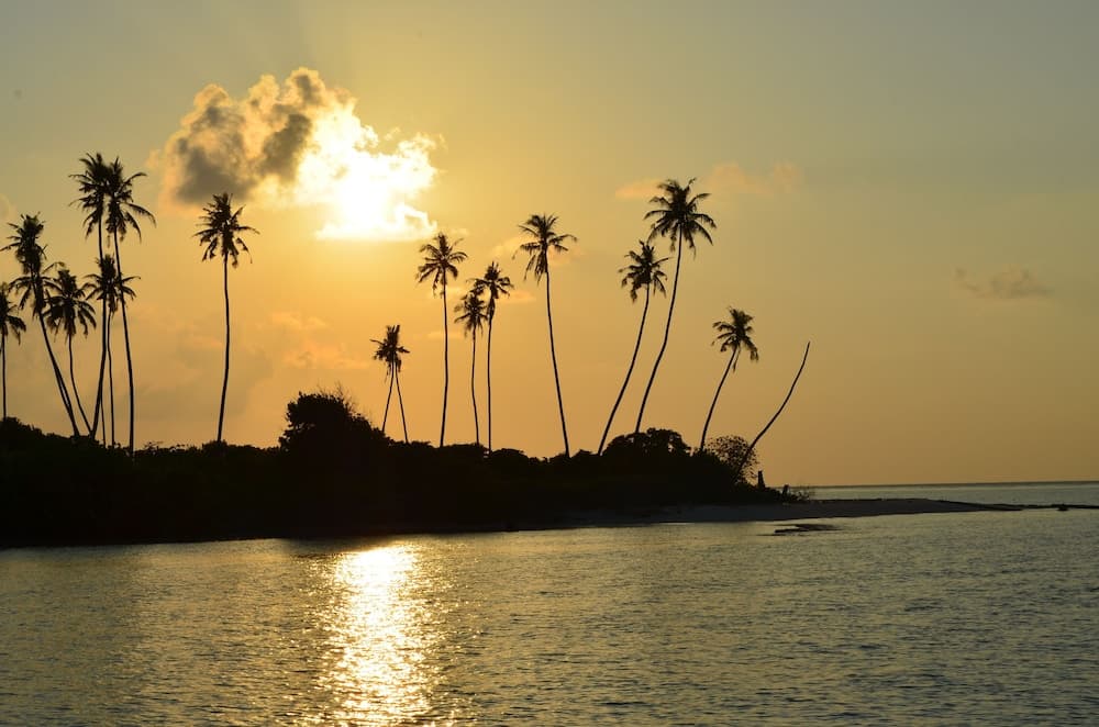 Yacht Fascination Maldives - View 25