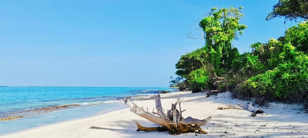 SORENZO Maldives - View 56