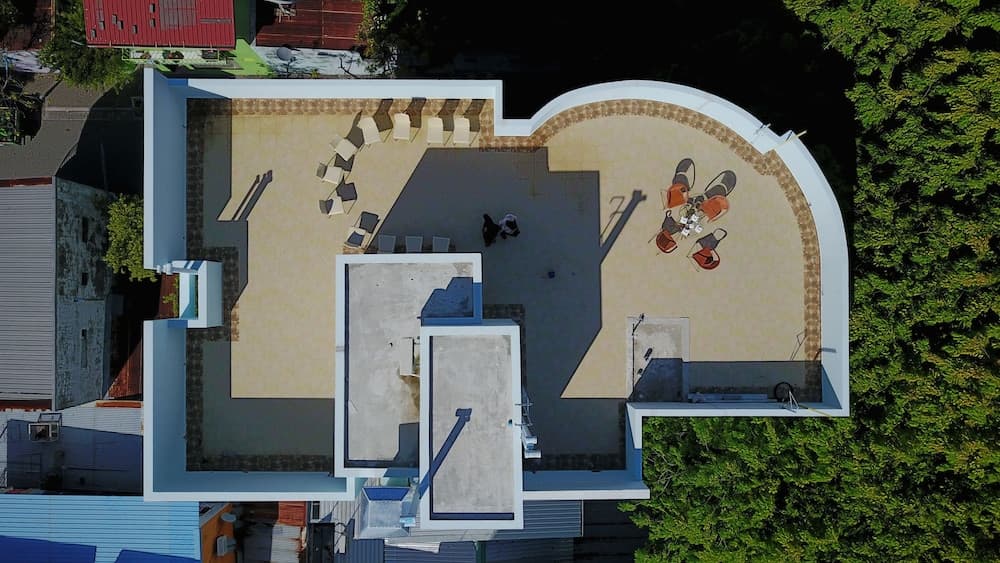 Green Flora - View 51