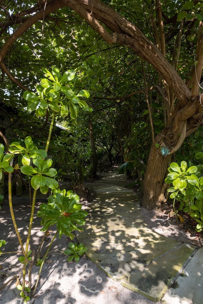 Mi Lugar Retreat and Spa - View 60