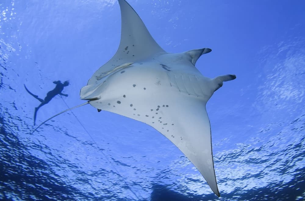 Sun Siyam Iru Fushi - View 44