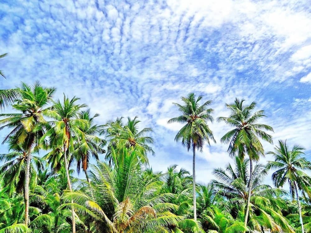 Equator Residence - View 7