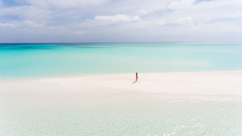 Olive Goidhoo - View 34