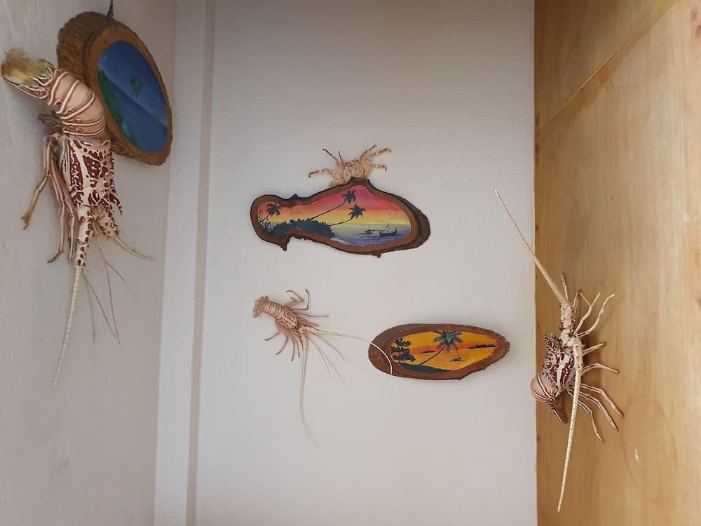 Ocean Beach Maldives - View 35