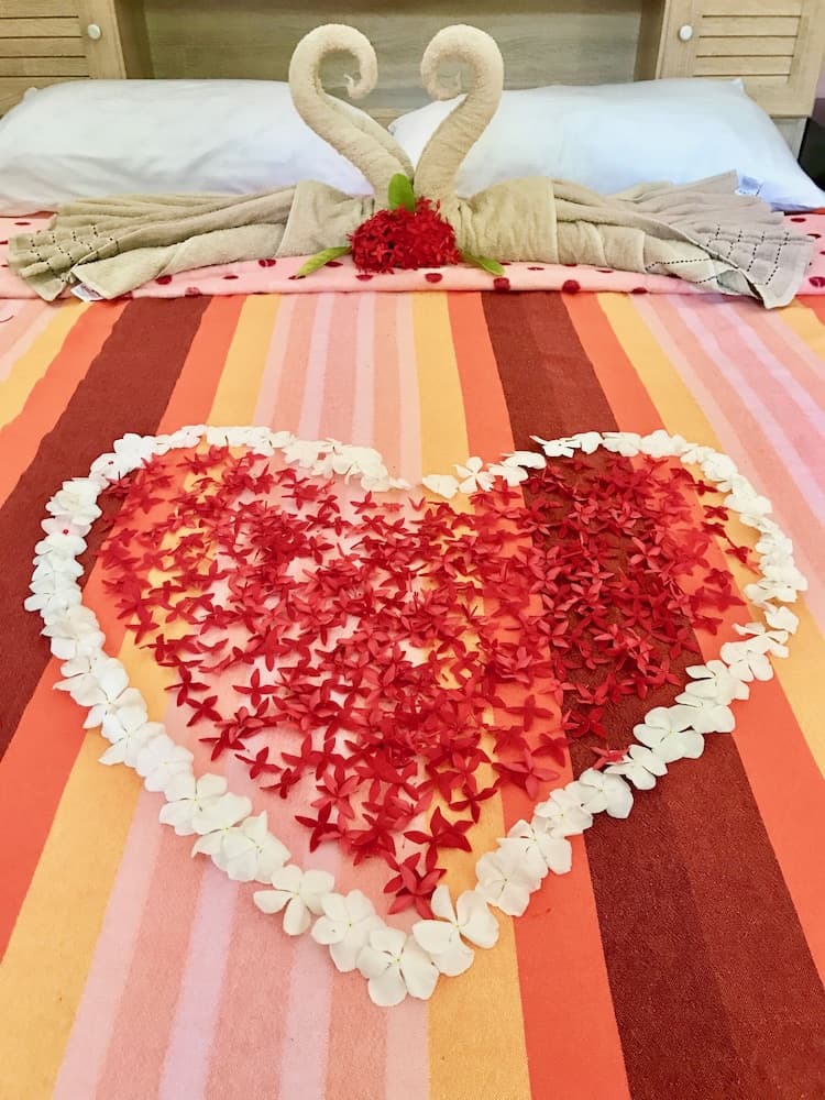 Ocean Vibes Guesthouse - View 3