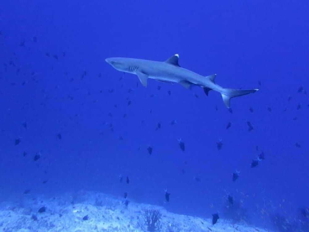 Rasdhoo Holiday Home - View 104