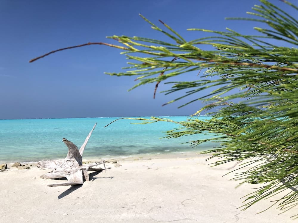 Old Town Inn - View 27