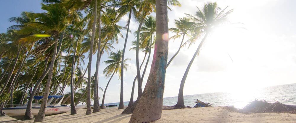 Leisure Boutique Hotel - View 24