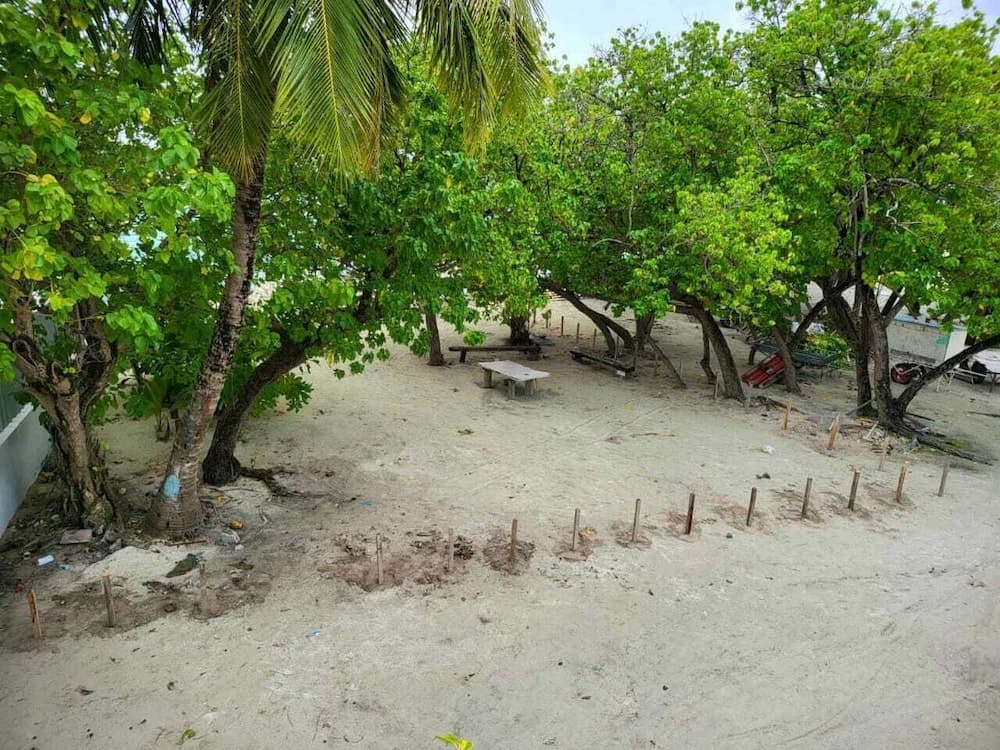 AAN Beach View - View 22