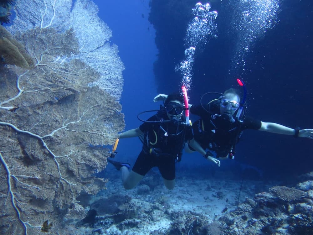 South Ari Dive Center - View 16