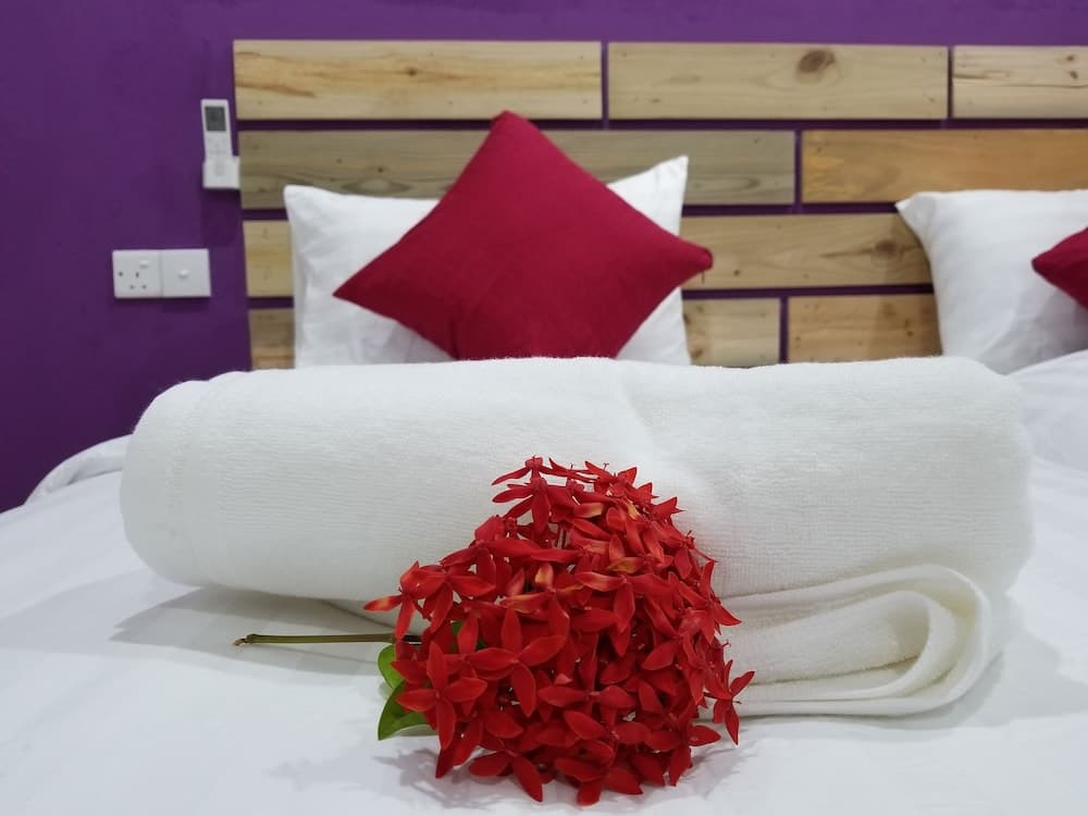 Lilac Stay - View 16