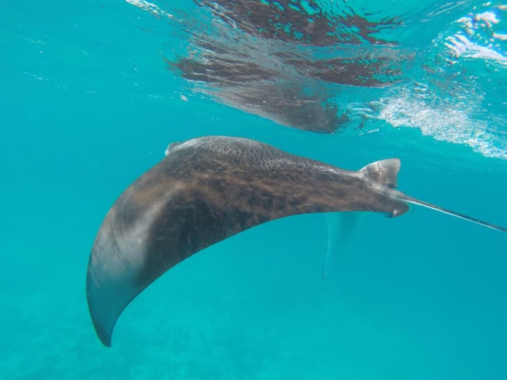 Athiri Inn - View 25