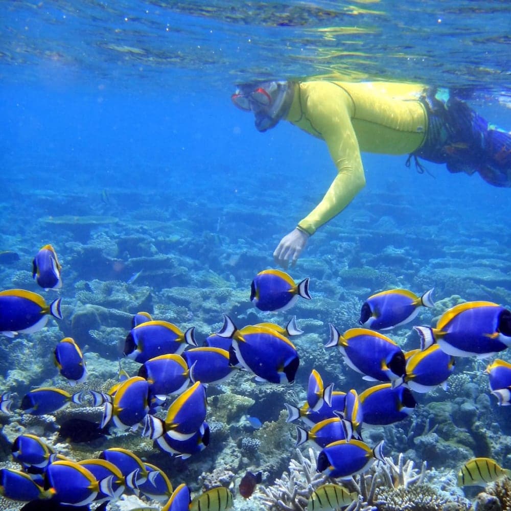 Sandy Heaven Maldives - View 6