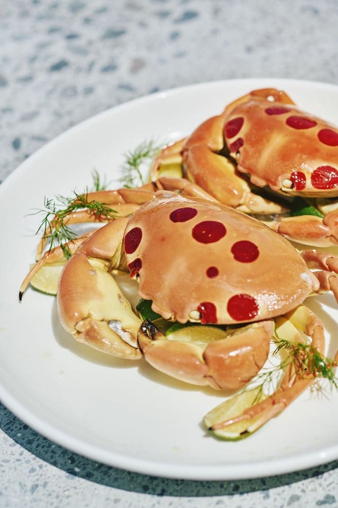 Araaik Beach Village - View 6