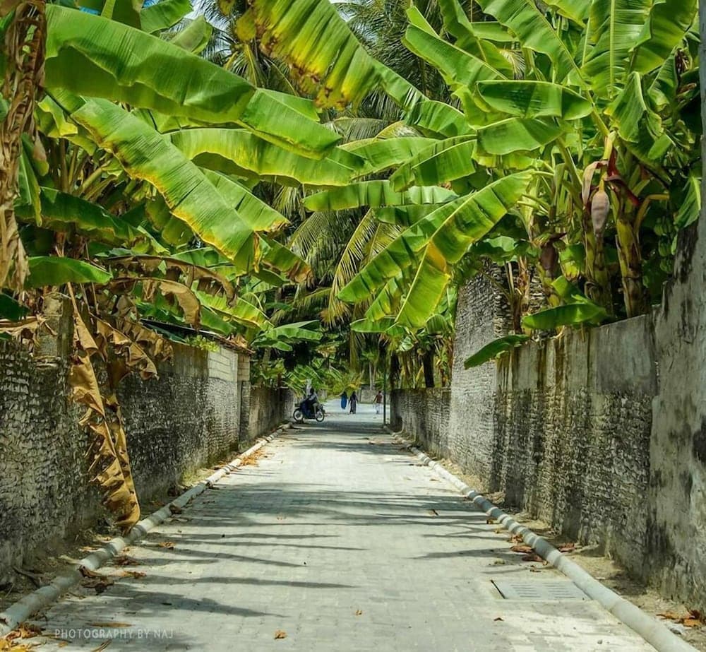 Charming Holiday Lodge - View 37