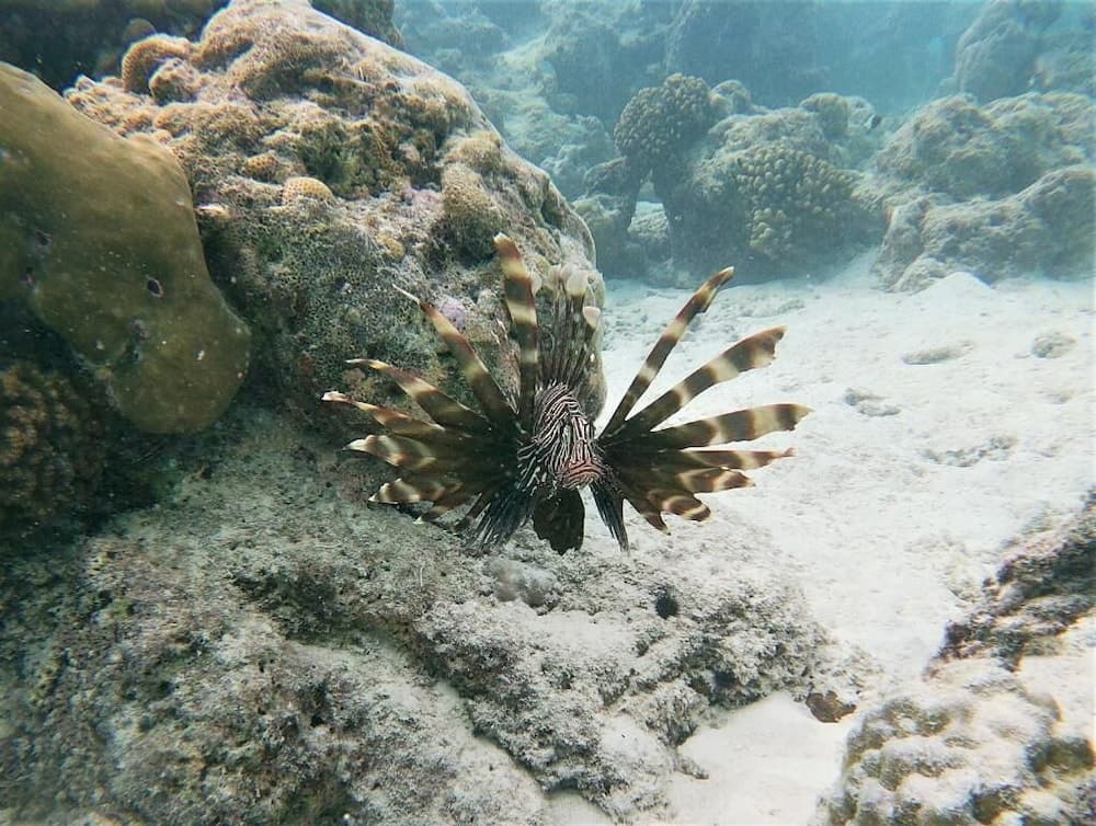 One The Island - View 15