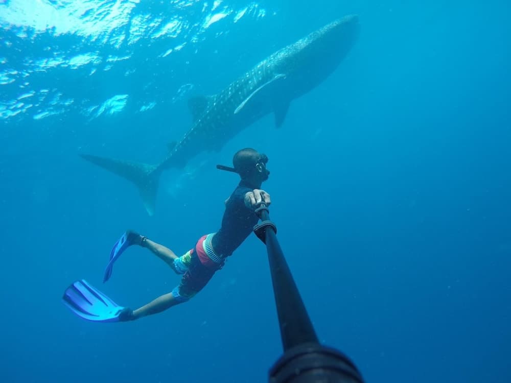 Chak'z 1964 Beach - View 12