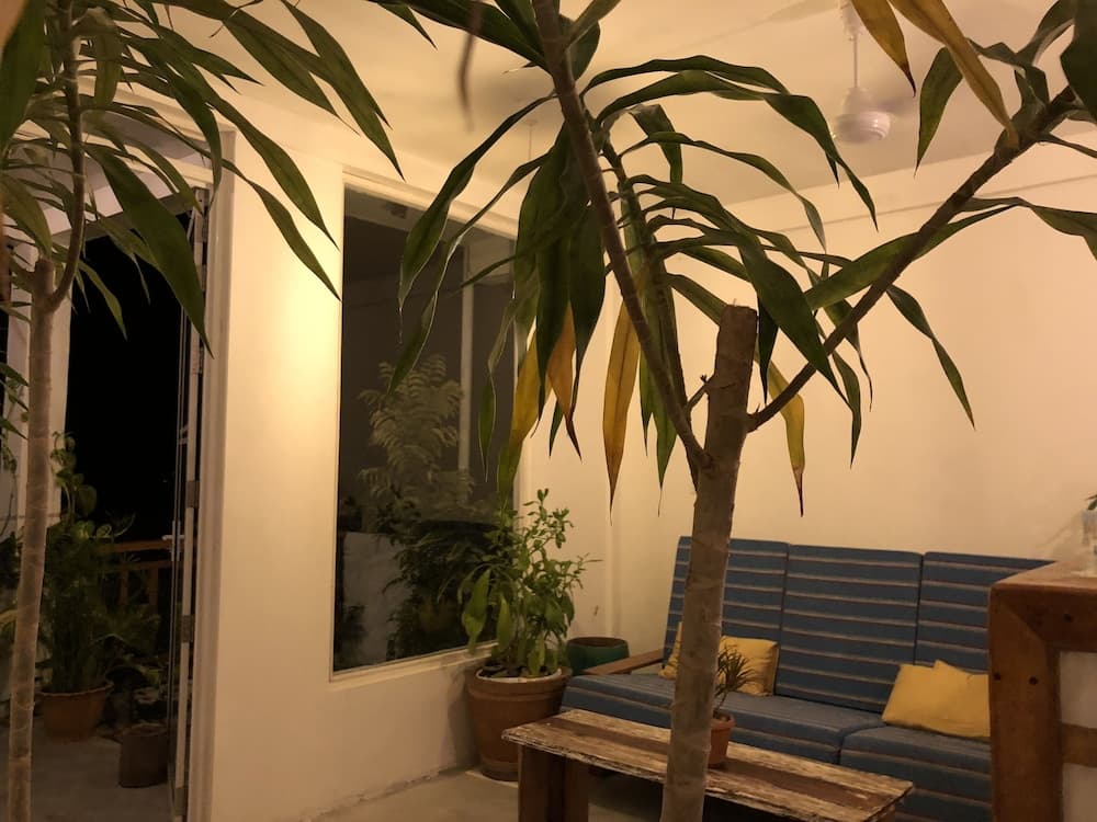 Islandbreak - View 2