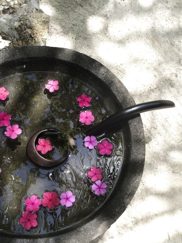 Taj Coral Reef Resort & Spa Maldives – A Premium All Inclusive Resort - View 172