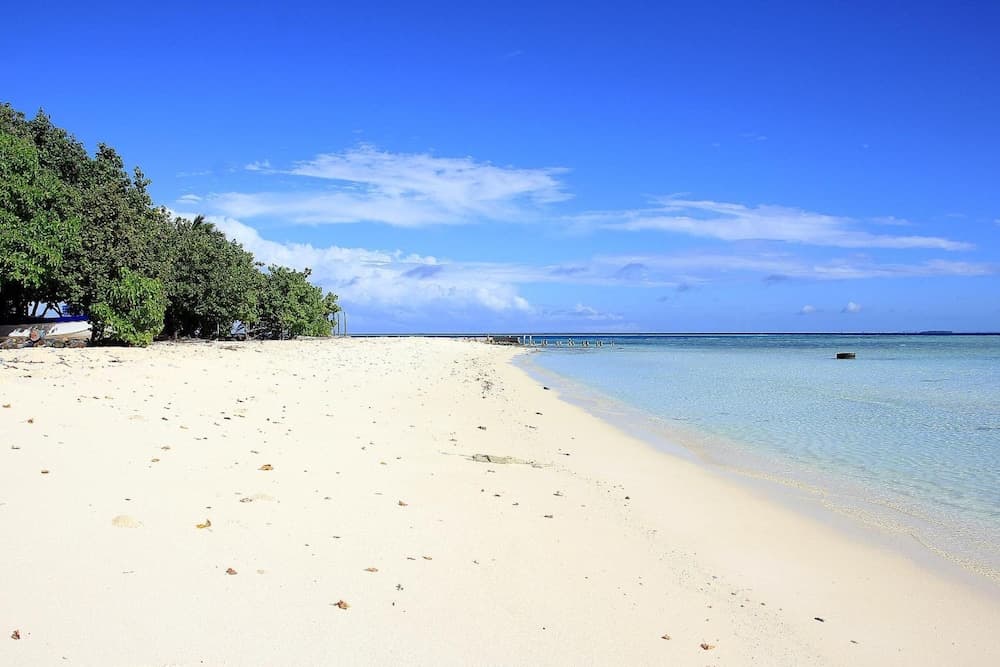 Tropic Tree Hotel Maldives - View 44