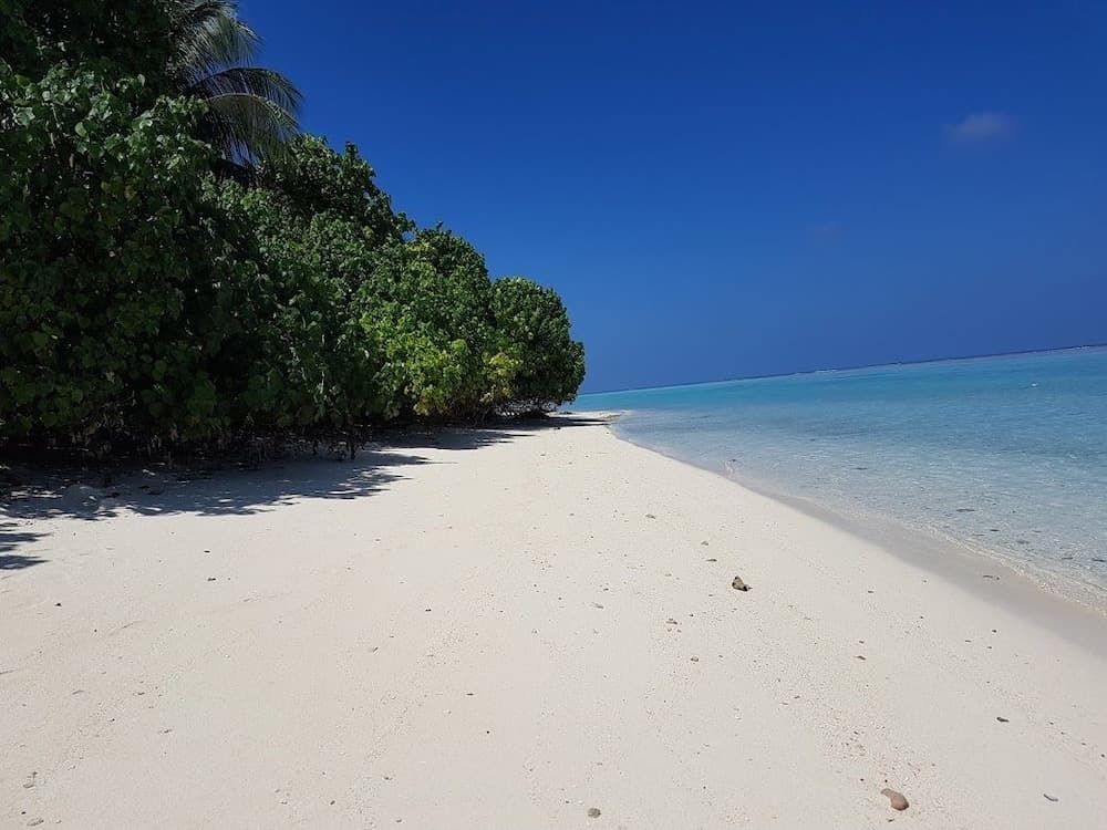 Thoddoo Beach Holiday Inn - View 38