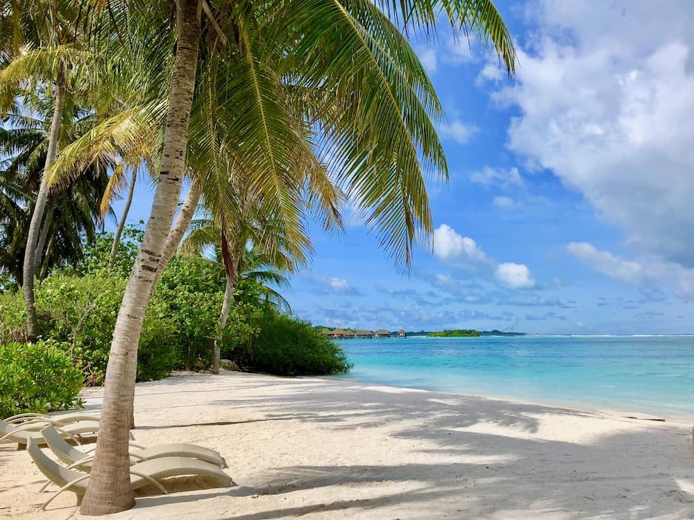 Ocean Vibes Guesthouse - View 29