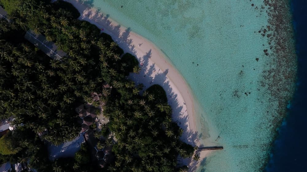 Biyadhoo Island Resort - View 33