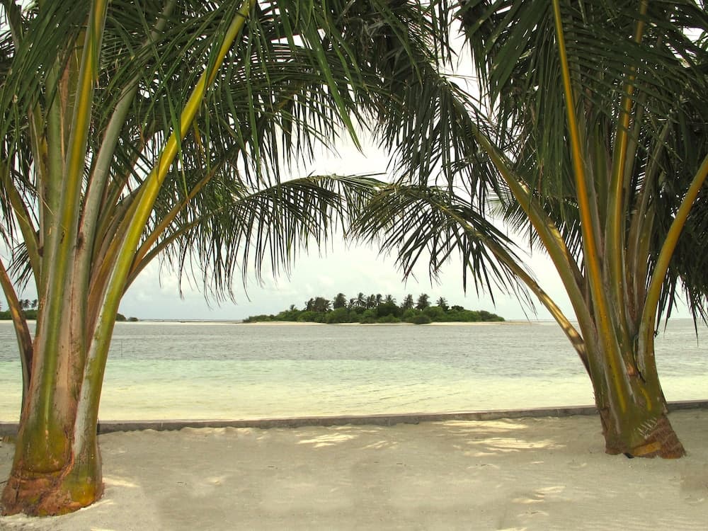 Sea Star Diving - View 21