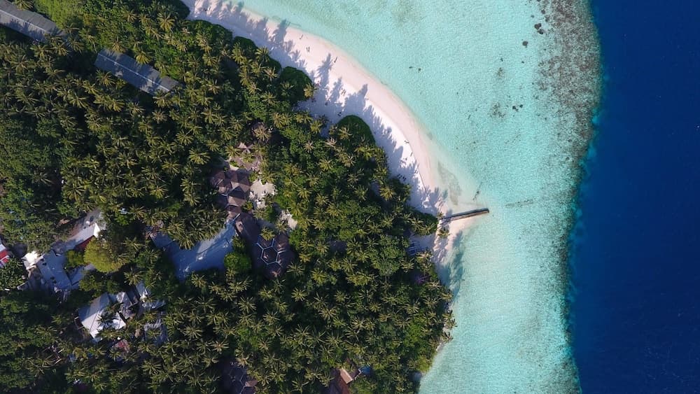 Biyadhoo Island Resort - View 30