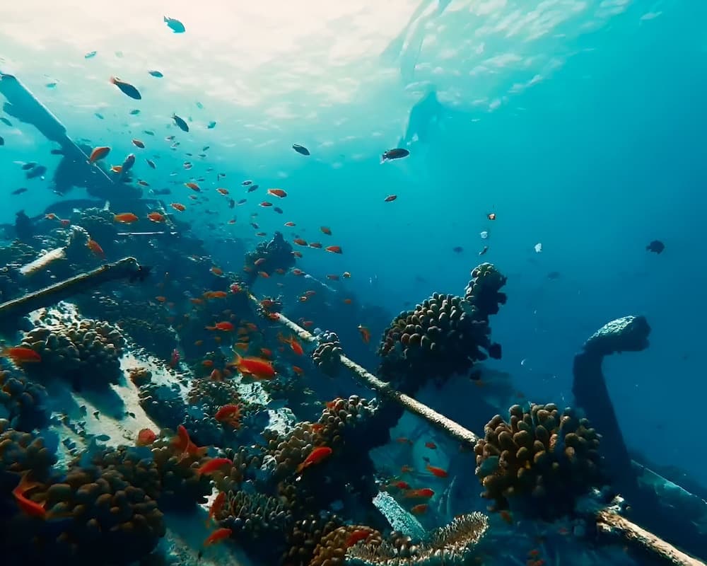 Noah Private Beach House - View 15