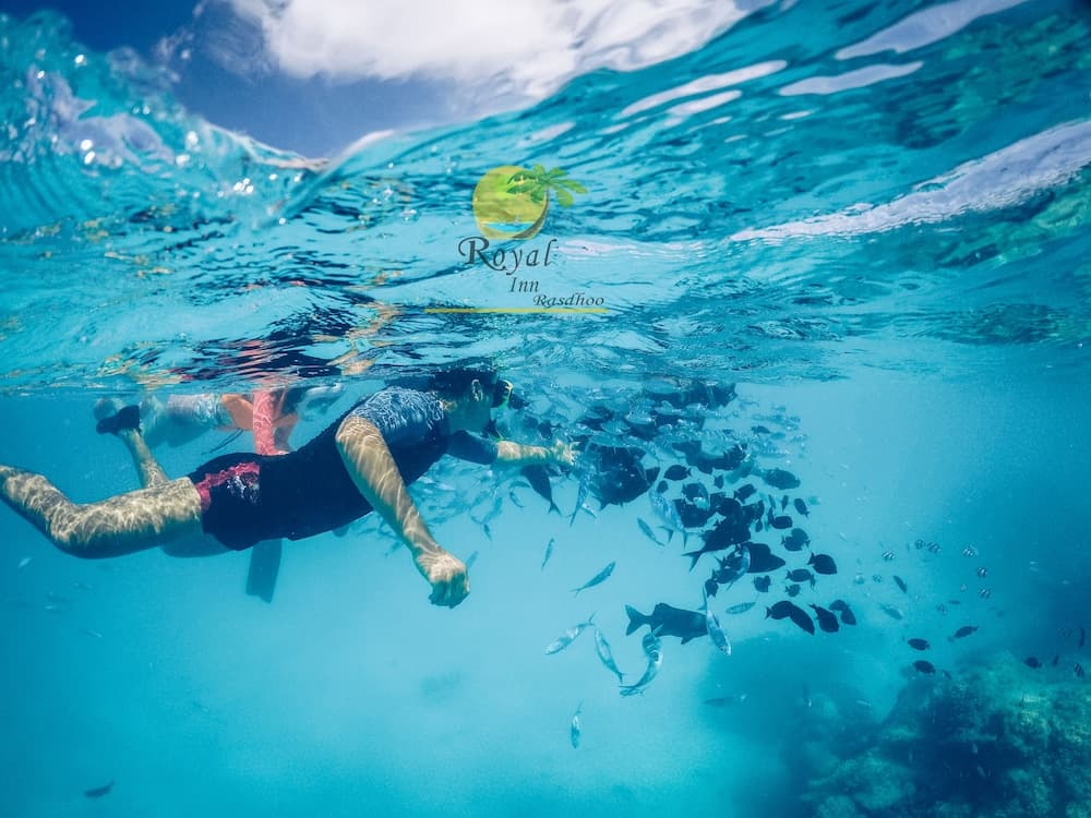 Royal Inn Rasdhoo - View 33