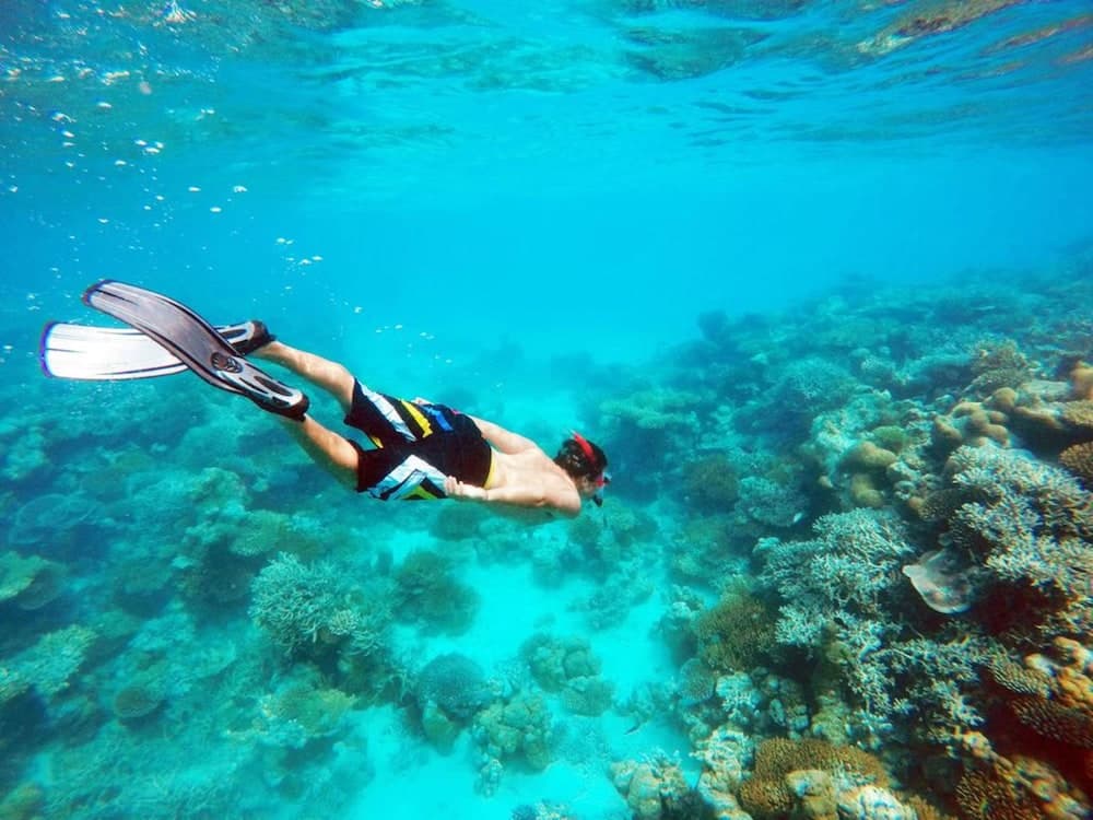 Bibee Maldives - View 100