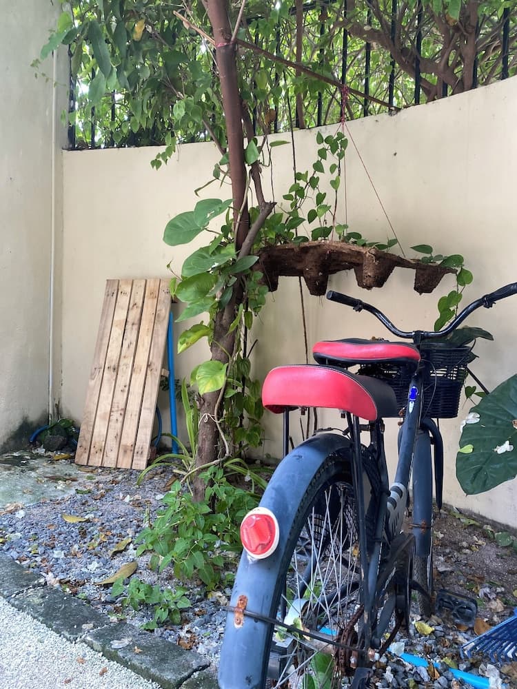 Maavaharu K.Himmafushi - View 25