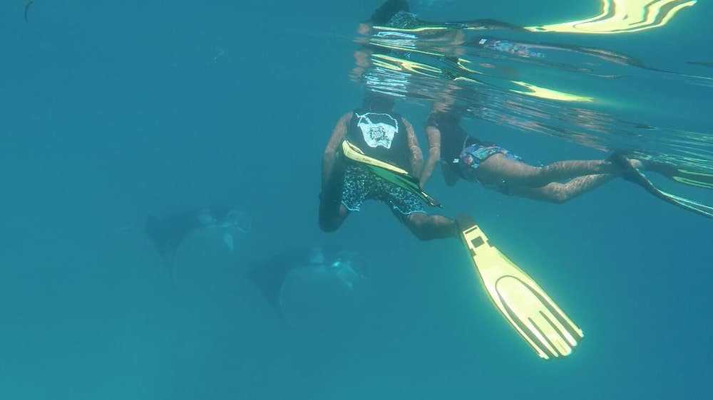 Olive Goidhoo - View 23