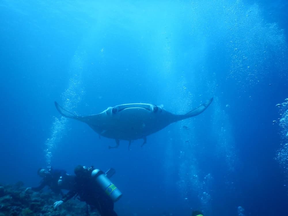 White Sand Dhigurah - View 52