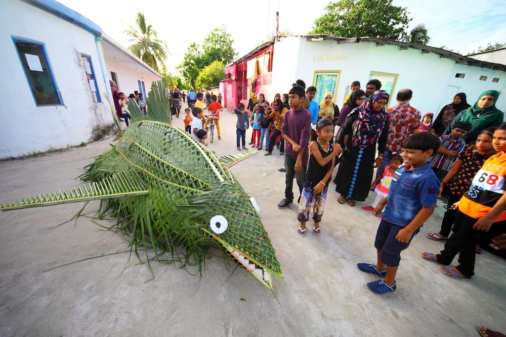 Ocean Villa with pool & spa - View 15