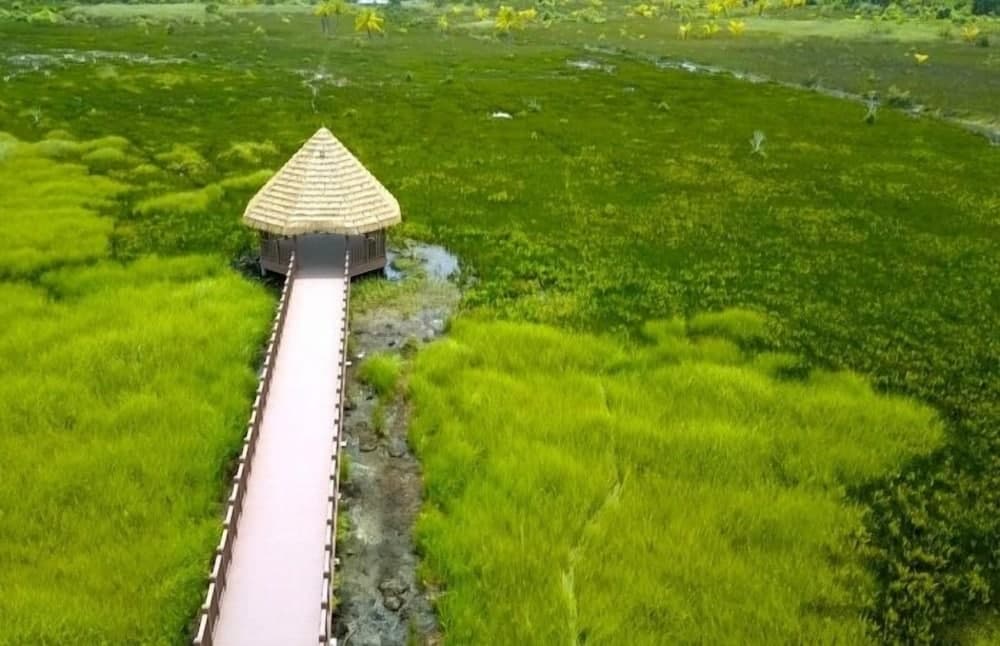 Tiger Shark Residence - View 24